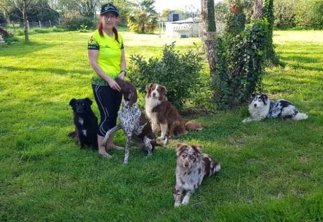 Un élevage de chiens de sport : des Bergers Australiens et des Braques Allemands.