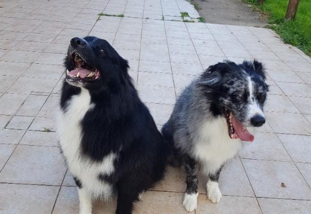 Visites à domicile de Sky et Sirius, 2 grands bébés nés à la maison.