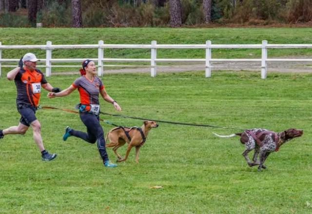 La Verrie Speed Dogs, sélectif régional FFSLC région 9 à Saumur le 8 Décembre 2024.