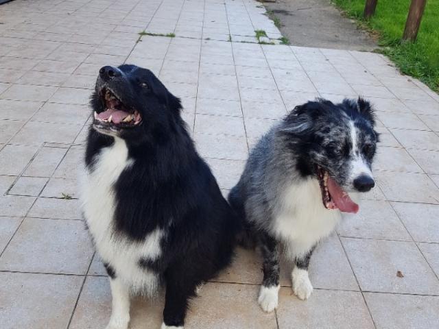 Visites à domicile de Sky et Sirius, 2 grands bébés nés à la maison.