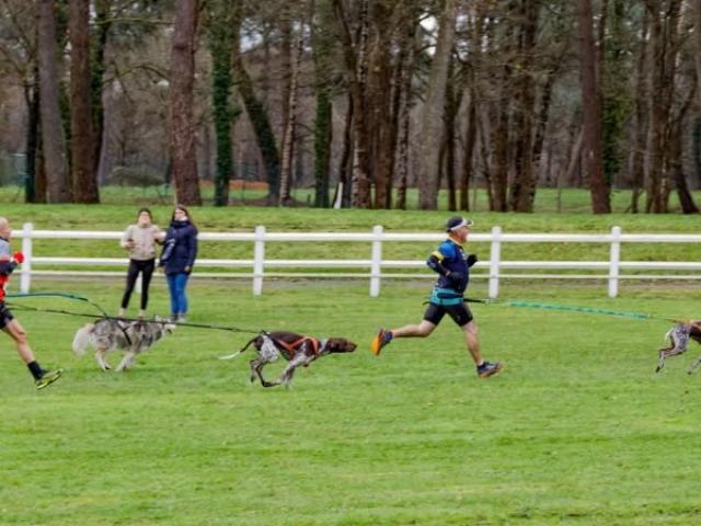 La Verrie Speed Dogs, sélectif régional FFSLC région 9 à Saumur le 8 Décembre 2024.