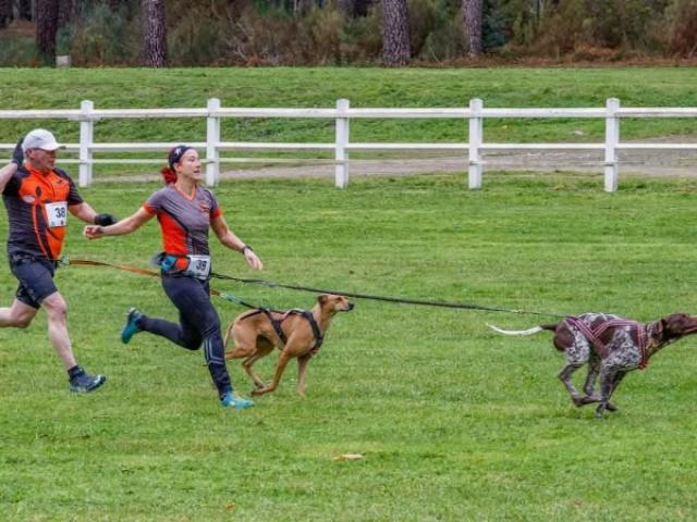 La Verrie Speed Dogs, sélectif régional FFSLC région 9 à Saumur le 8 Décembre 2024.