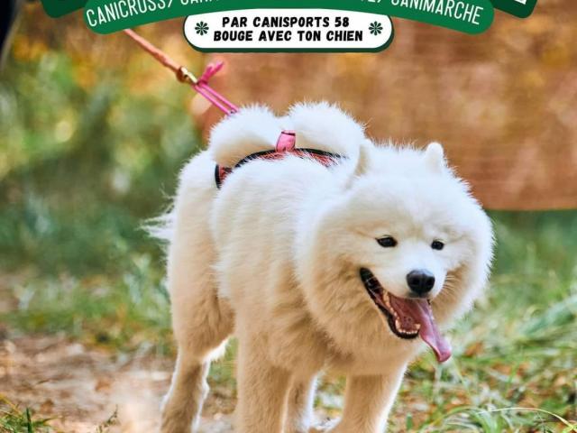 La Cani-Morvandelle : Sélectif de la Région 6 pour les Championnats de France FFSLC le 03/11/2024.