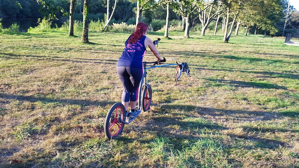 Balade à vélo avec un chien en laisse